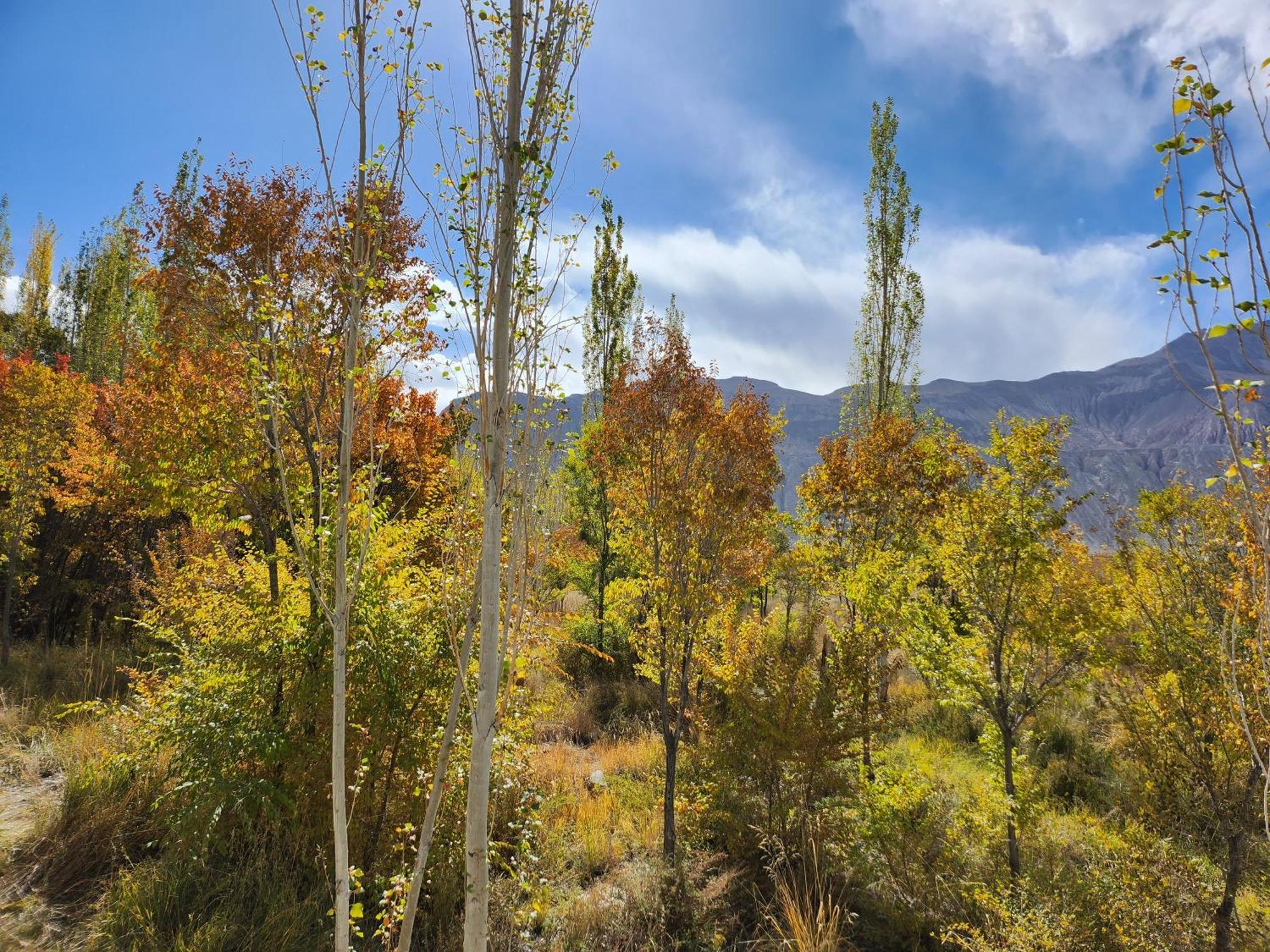 Lharimo Hotel Leh - Ladakh מראה חיצוני תמונה