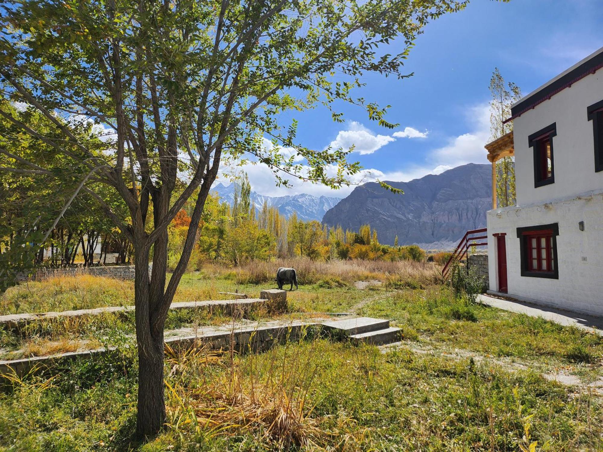 Lharimo Hotel Leh - Ladakh מראה חיצוני תמונה