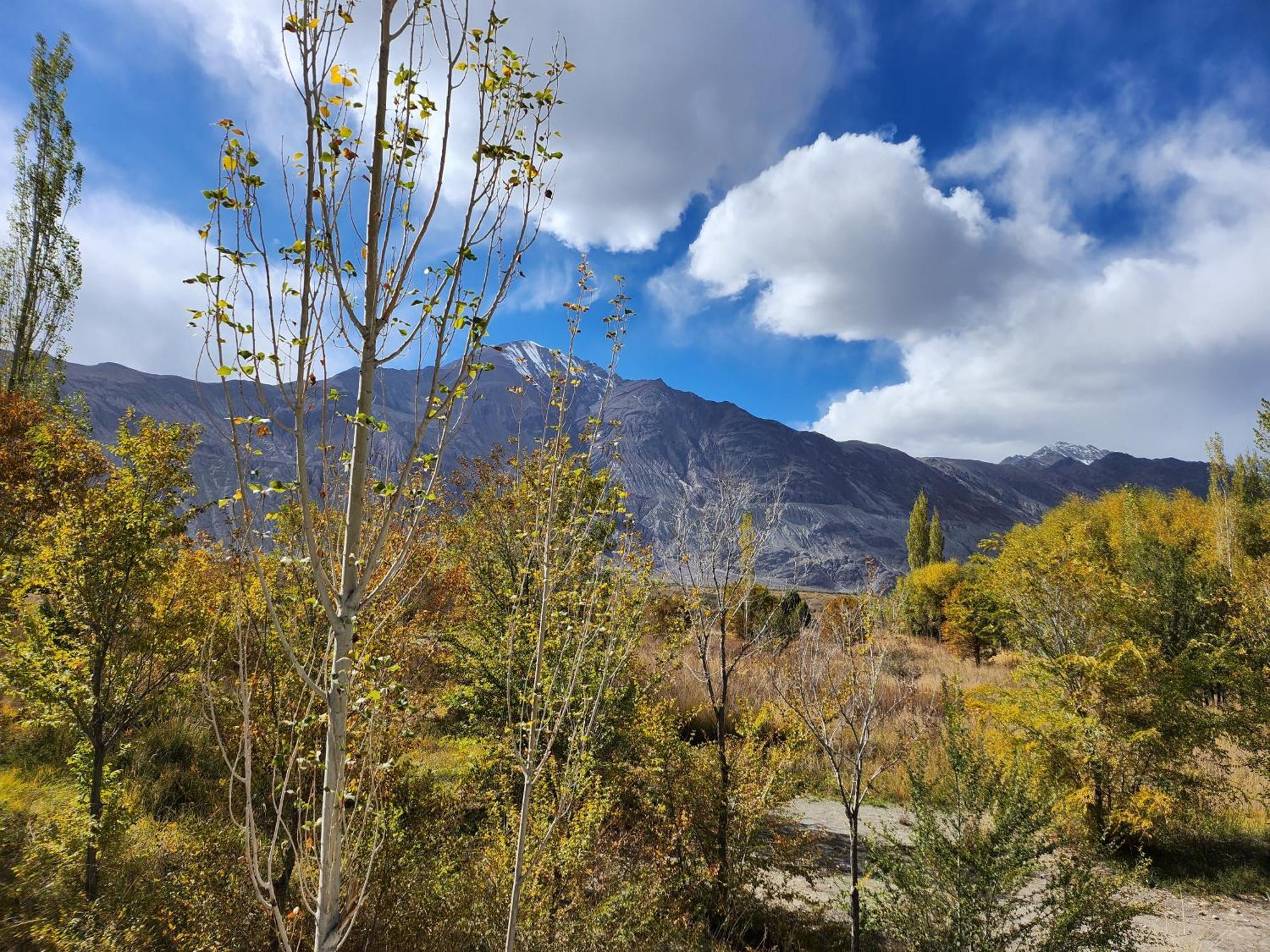 Lharimo Hotel Leh - Ladakh מראה חיצוני תמונה