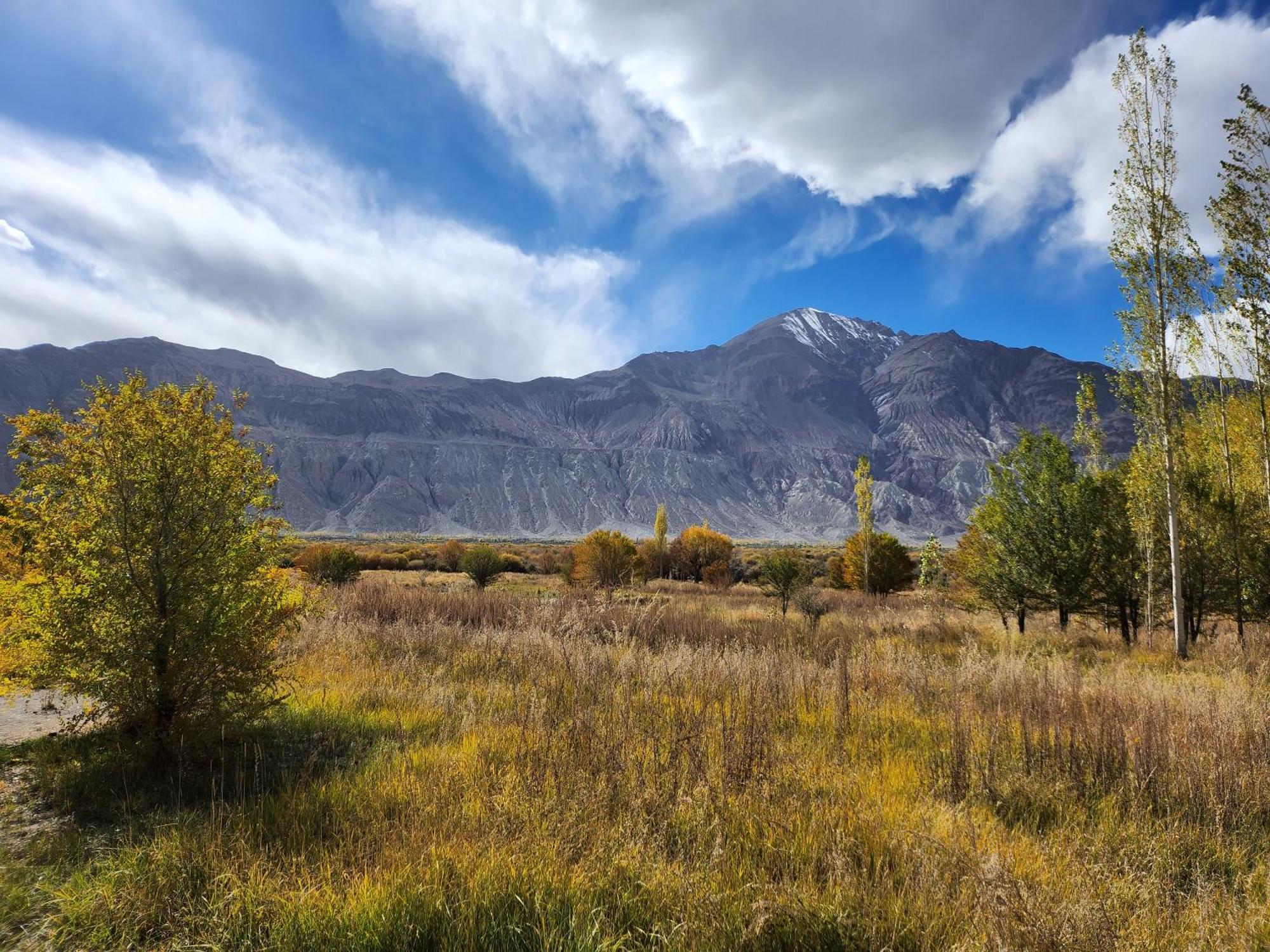 Lharimo Hotel Leh - Ladakh מראה חיצוני תמונה