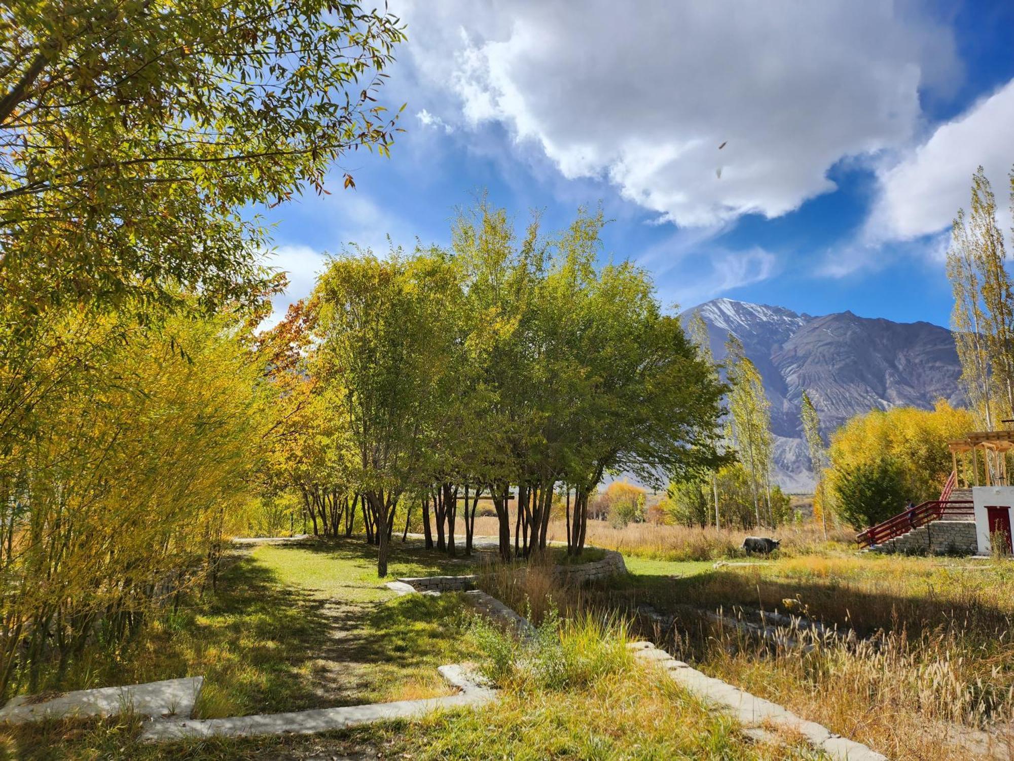 Lharimo Hotel Leh - Ladakh מראה חיצוני תמונה