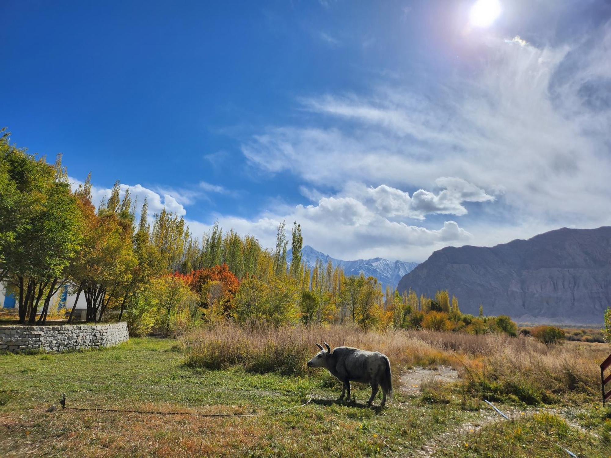 Lharimo Hotel Leh - Ladakh מראה חיצוני תמונה