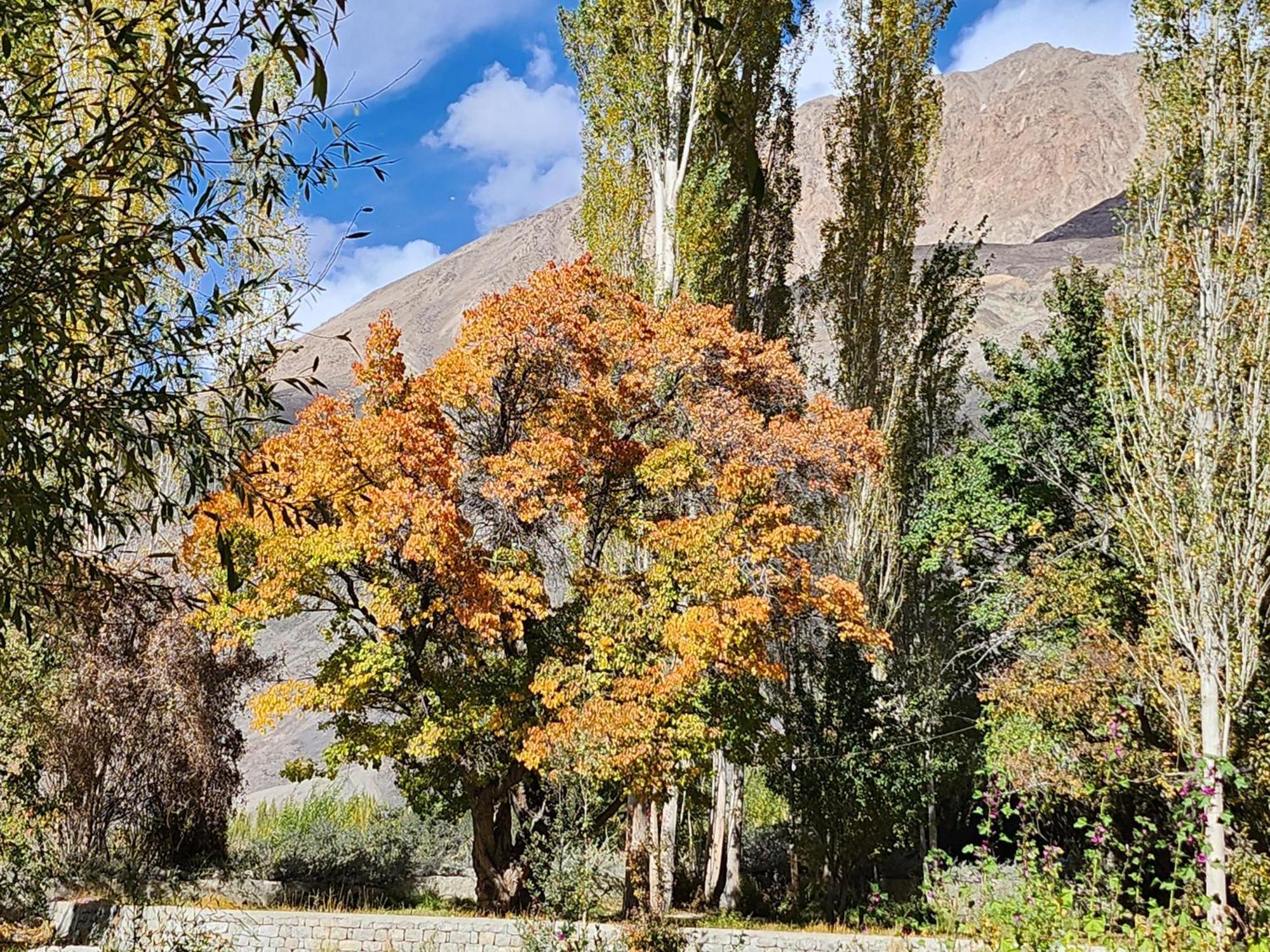 Lharimo Hotel Leh - Ladakh מראה חיצוני תמונה