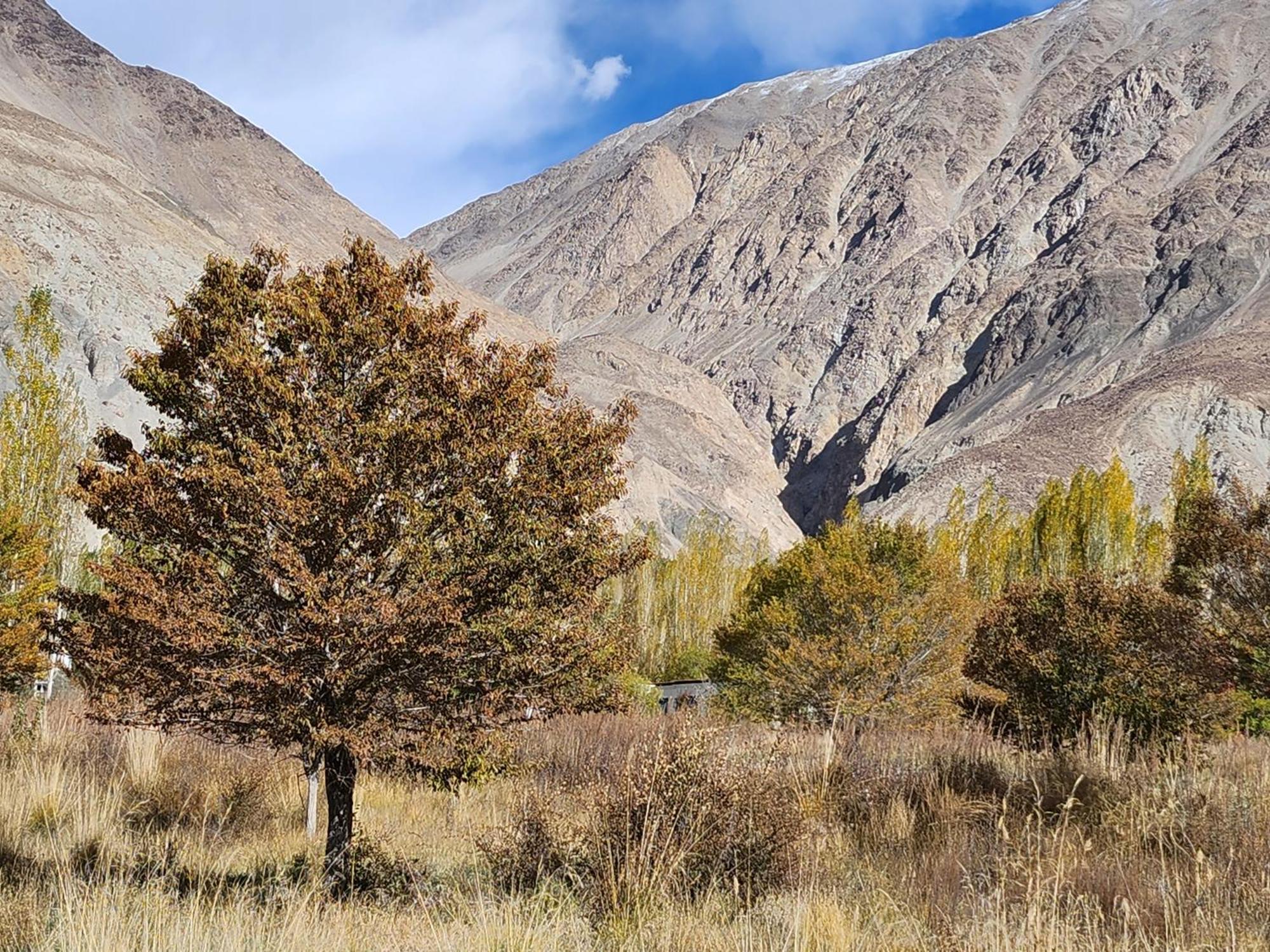 Lharimo Hotel Leh - Ladakh מראה חיצוני תמונה